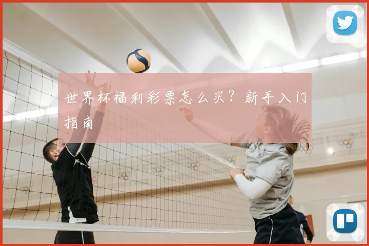 世界杯福利彩票怎么买？新手入门指南