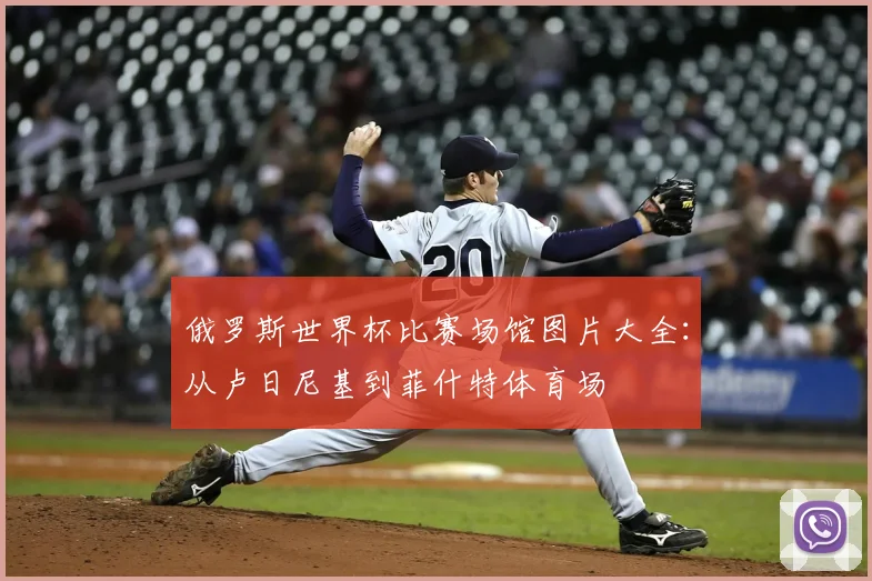 俄罗斯世界杯比赛场馆图片大全：从卢日尼基到菲什特体育场