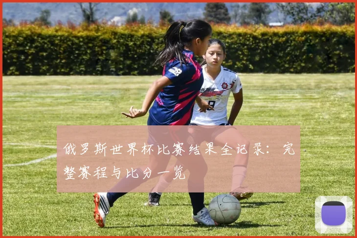 俄罗斯世界杯比赛结果全记录：完整赛程与比分一览