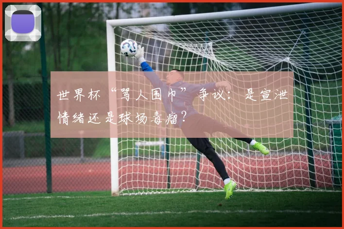 世界杯“骂人围巾”争议:是宣泄情绪还是球场毒瘤?