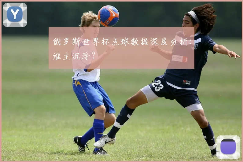 俄罗斯世界杯点球数据深度分析：谁主沉浮？