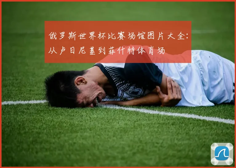 俄罗斯世界杯比赛场馆图片大全：从卢日尼基到菲什特体育场